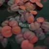 Red Root Floaters