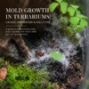 mold growth in terrarium