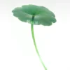 Hydrocotyle Verticillata