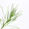 Rotala Nanjenshan