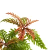 Colorful fern with intricate leaves
