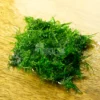 mini spiky moss on mesh
