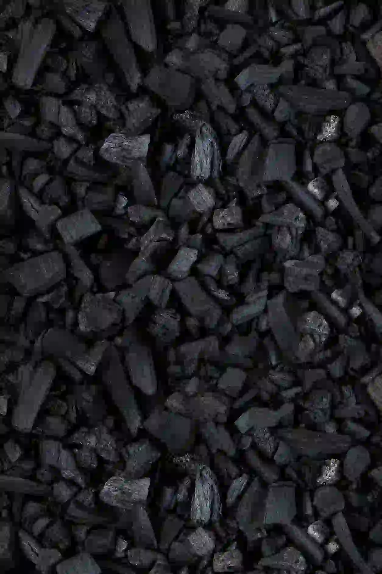 Activated charcoal chunks for terrarium filtration
